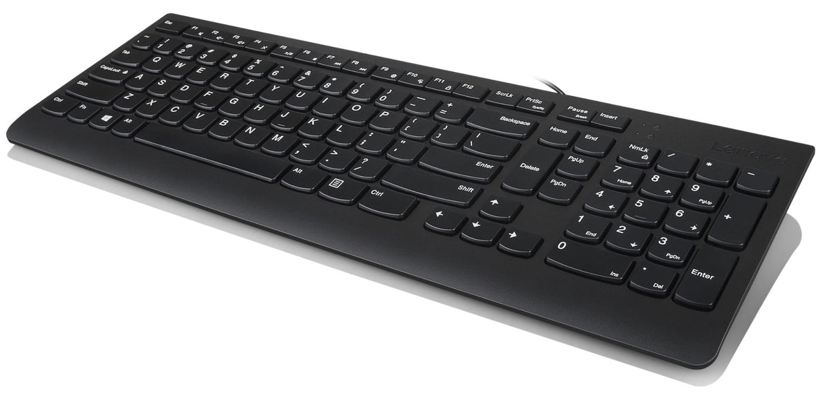 Lenovo 300, Full-size (100%), Wired, USB, QWERTY, Black