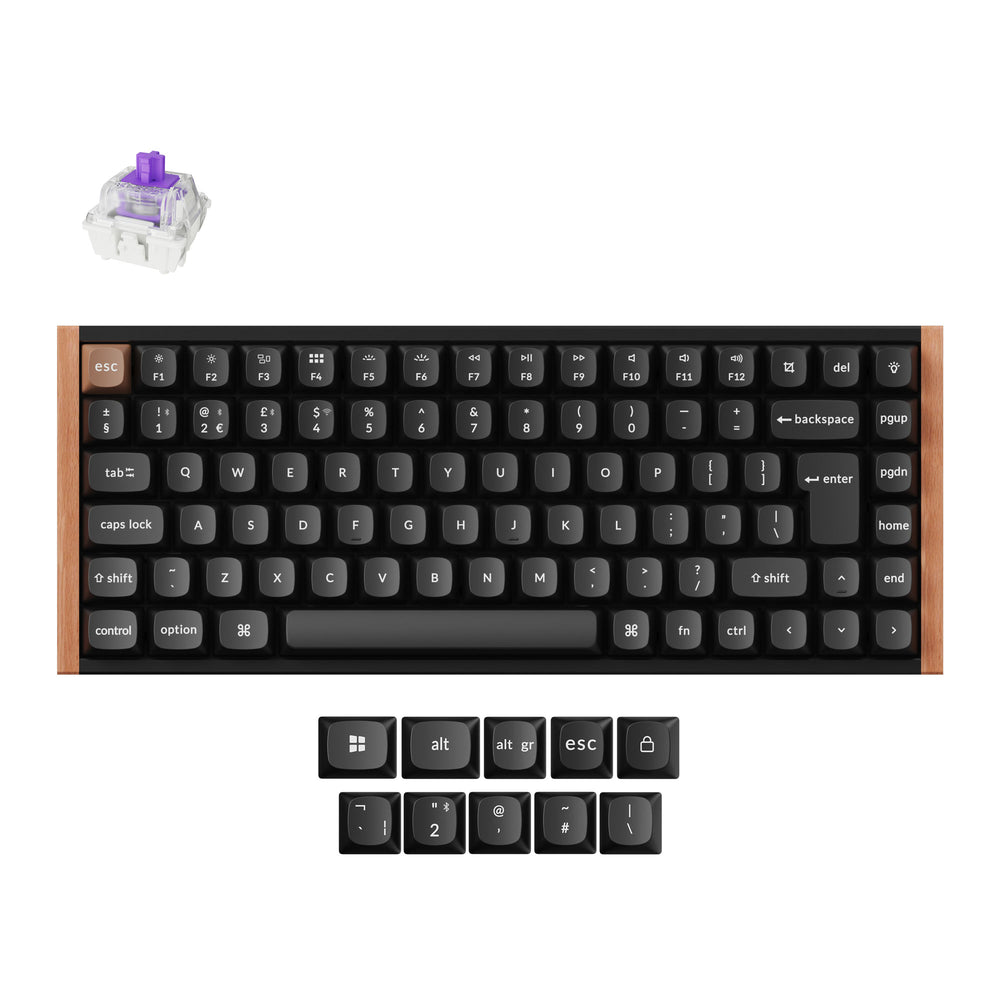 Keychron K2 HE, Wired & Wireless, USB + RF Wireless + Bluetooth, Magnetic-mechanical key switch, QWERTY, RGB LED, Black