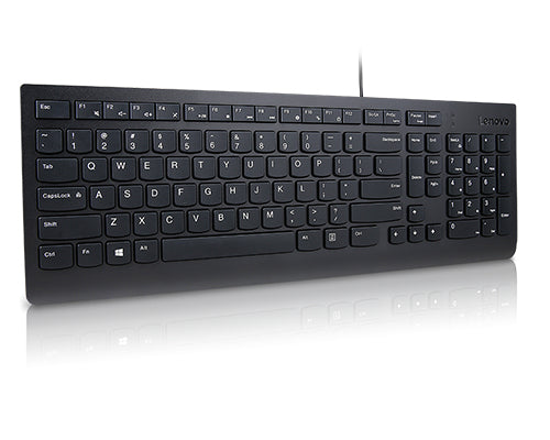 Lenovo Essential, Full-size (100%), Wired, USB, Plunger key switch, QWERTY, Black