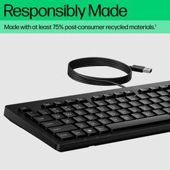 HP 125 Wired Keyboard, Full-size (100%), Wired, USB, Plunger key switch, Black