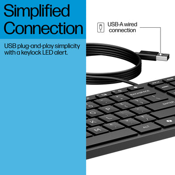 HP Wired Desktop 320K Keyboard, Full-size (100%), USB, Black
