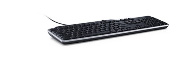 DELL KB522, Full-size (100%), Wired, USB, Plunger key switch, QWERTY, Black