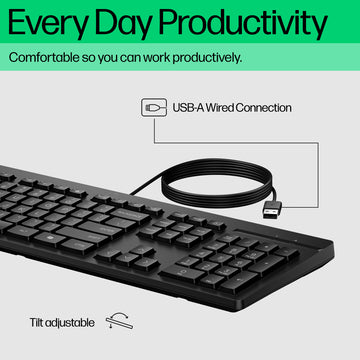 HP 125 Wired Keyboard, Full-size (100%), Wired, USB, Plunger key switch, Black