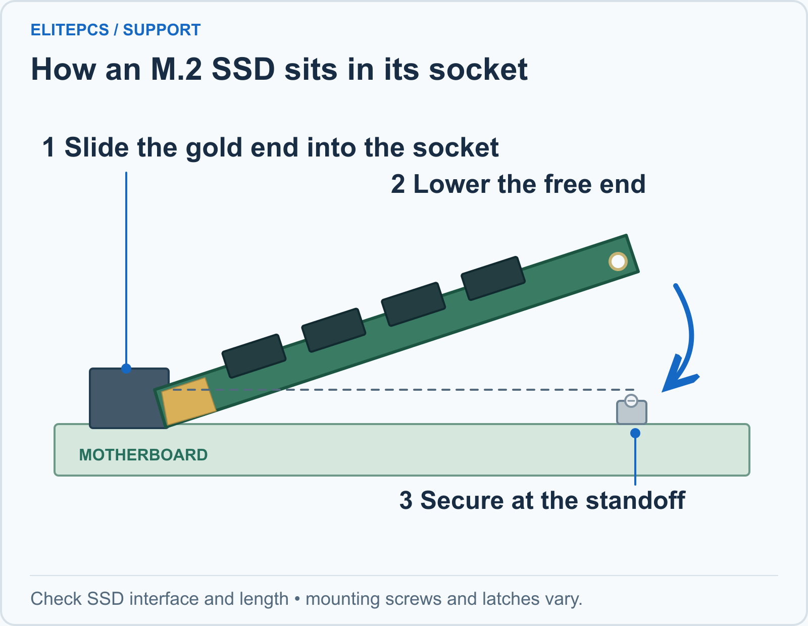 Side view of an M.2 SSD: the gold connector slides into the motherboard socket at a shallow angle. The free end lowers onto the matching standoff and is secured with the board’s screw or latch.